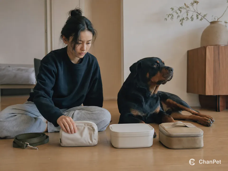 A caregiver quietly sorting unbranded dog supplies and an emergency kit beside a Rottweiler